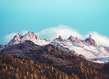 国际足联-回绝爵士报价 戈贝尔期望得到字母哥式超级顶薪